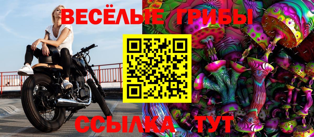 Псилоцибиновые грибы прущие грибы  Вход с VPN  Псилоцибиновые грибы мухоморы  хочу наркоту  Новошахтинск 
