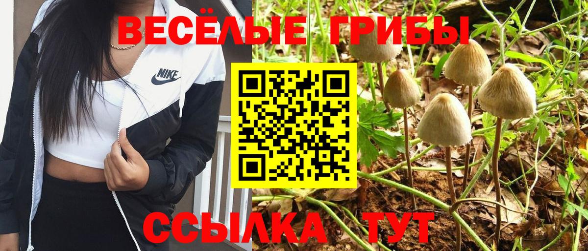 Галлюциногенные грибы Cubensis Новошахтинск
